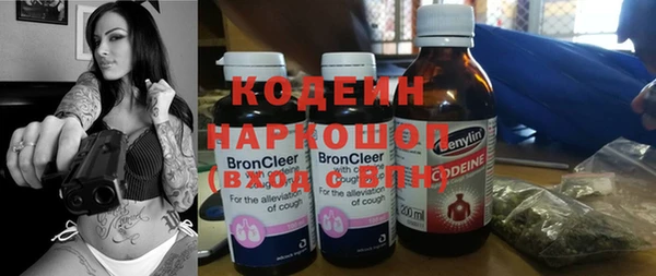 шишки Нея