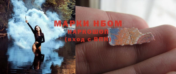 шишки Нея
