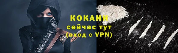 индика Вязники