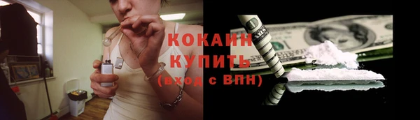 шишки Нея