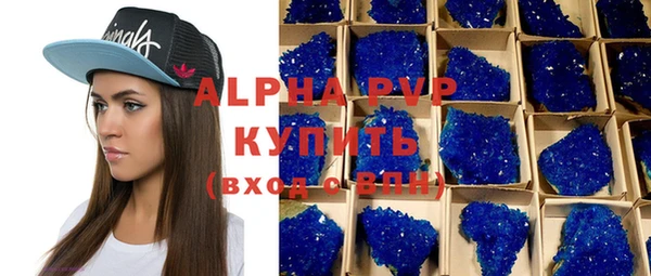 шишки Нея